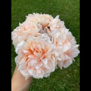 NWT peach peonies